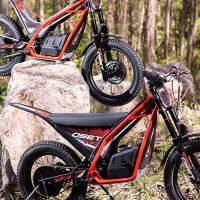 OSET_TXP_20_24_04 OSET_TXP_20_24_04